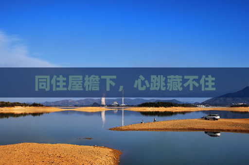 同住屋檐下,心跳藏不住 同住屋檐下,心跳藏不住
