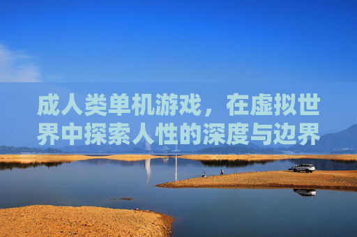成人类单机游戏,在虚拟世界中探索人性的深度与边界,虚拟世界的人性边界,成人单机游戏的深度探索 成人类单机游戏,在虚拟世界中探索人性的深度与边界,虚拟世界的人性边界,成人单机游戏的深度探索