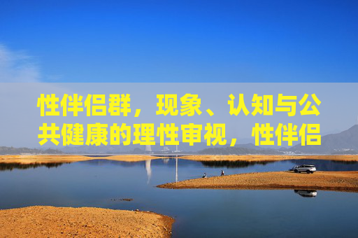 性伴侣群,现象、认知与公共健康的理性审视,性伴侣群,现象、认知与公共健康的理性审视 性伴侣群,现象、认知与公共健康的理性审视,性伴侣群,现象、认知与公共健康的理性审视