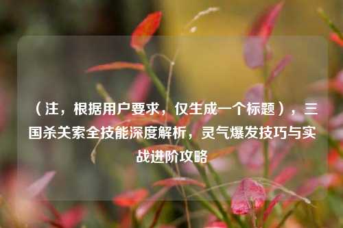 （注，根据用户要求，仅生成一个标题），三国杀关索全技能深度解析，灵气爆发技巧与实战进阶攻略