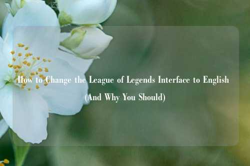 How to Change the League of Legends Interface to English (And Why You Should)