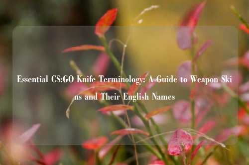 Essential CS:GO Knife Terminology: A Guide to Weapon Skins and Their English Names