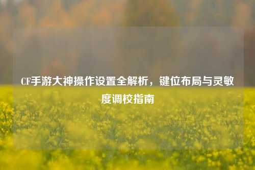 CF手游大神操作设置全解析，键位布局与灵敏度调校指南