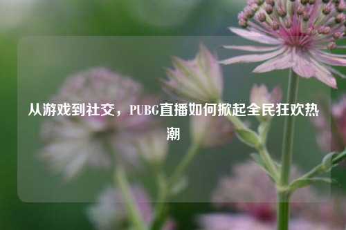 从游戏到社交,PUBG直播如何掀起全民狂欢热潮