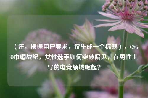 （注，根据用户要求，仅生成一个标题），CSGO巾帼战纪，女性选手如何突破偏见，在男性主导的电竞领域崛起？