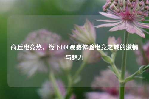商丘电竞热,线下LOL观赛体验电竞之城的***与魅力