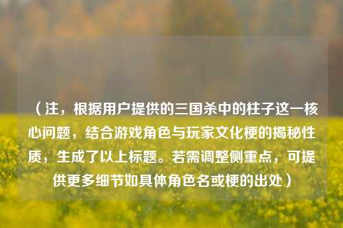 （注，根据用户提供的三国杀中的柱子这一核心问题，结合游戏角色与玩家文化梗的揭秘性质，生成了以上标题。若需调整侧重点，可提供更多细节如具体角色名或梗的出处）