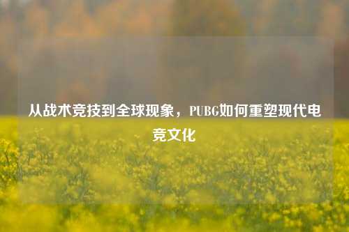 从战术竞技到全球现象，PUBG如何重塑现代电竞文化