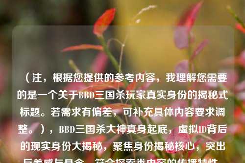 （注，根据您提供的参考内容，我理解您需要的是一个关于BBD三国杀玩家真实身份的揭秘式标题。若需求有偏差，可补充具体内容要求调整。），BBD三国杀大神真身起底，虚拟ID背后的现实身份大揭秘，聚焦身份揭秘核心，突出反差感与悬念，符合探索类内容的传播特性。如需调整方向，请补充具体关键词或风格偏好。）