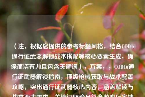 （注，根据您提供的参考标题风格，结合COD16通行证武器解锁战术搭配等核心要素生成，确保简洁有力且包含关键词），方案，，COD16通行证武器解锁指南，顶级枪械获取与战术配置攻略，突出通行证武器核心内容，涵盖解锁与战术两大需求，关键词明确且符合游戏玩家搜索习惯。）