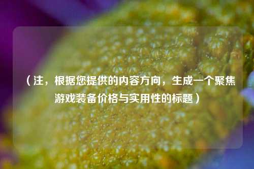 （注，根据您提供的内容方向，生成一个聚焦游戏装备价格与实用性的标题）