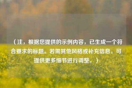 （注，根据您提供的示例内容，已生成一个符合要求的标题。若需其他风格或补充信息，可提供更多细节进行调整。）