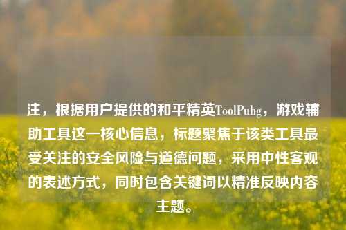 注,根据用户提供的和平精英ToolPubg,游戏辅助工具这一核心信息,标题聚焦于该类工具最受关注的安全风险与道德问题,采用中性客观的表述方式,同时包含关键词以精准反映内容主题。