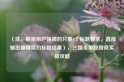 （注，根据用户强调的只要1个标题要求，直接输出最精简的标题结果），三国杀单挑颜良实战攻略