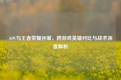 AOV与王者荣耀孙策，跨游戏英雄对比与战术深度解析