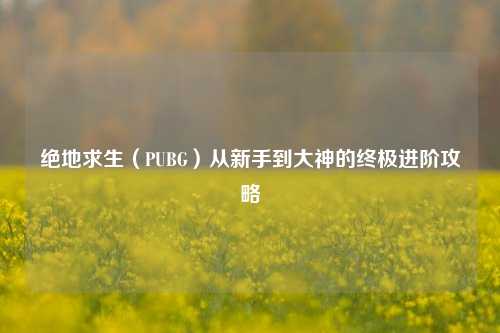绝地求生（PUBG）从新手到大神的终极进阶攻略