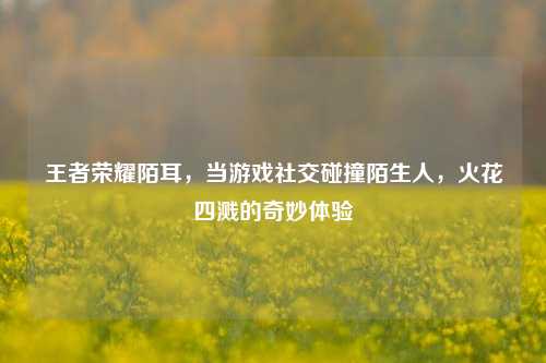 王者荣耀陌耳，当游戏社交碰撞陌生人，火花四溅的奇妙体验