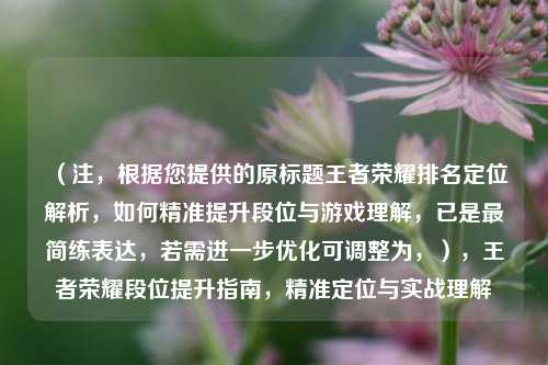（注，根据您提供的原标题王者荣耀排名定位解析，如何精准提升段位与游戏理解，已是最简练表达，若需进一步优化可调整为，），王者荣耀段位提升指南，精准定位与实战理解