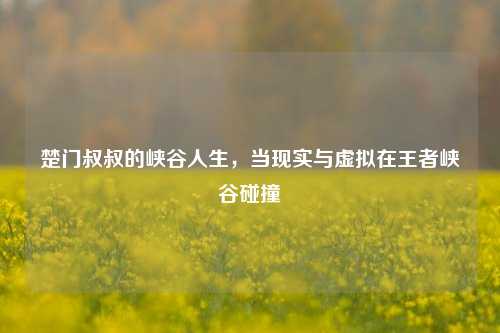 楚门叔叔的峡谷人生，当现实与虚拟在王者峡谷碰撞
