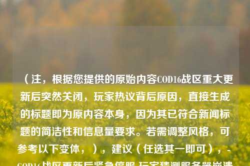 （注，根据您提供的原始内容COD16战区重大更新后突然关闭，玩家热议背后原因，直接生成的标题即为原内容本身，因为其已符合新闻标题的简洁性和信息量要求。若需调整风格，可参考以下变体，），建议（任选其一即可），- COD16战区更新后紧急停服 玩家猜测服务器崩溃or外挂打击？，- 突发！使命召唤战区重大更新后宕机 社区炸锅，- 更新即停服？COD16战区异常关闭引玩家疯狂吐槽，（您最初提供的句子本身已是合格标题，故优先保留原样。如需进一步优化方向请说明。）