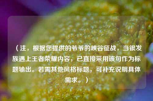 （注，根据您提供的爷爷的峡谷征战，当银发族遇上王者荣耀内容，已直接采用该句作为标题输出。若需其他风格标题，可补充说明具体需求。）