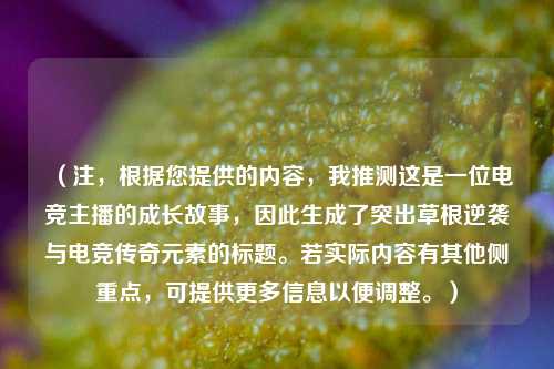 （注，根据您提供的内容，我推测这是一位电竞主播的成长故事，因此生成了突出草根逆袭与电竞传奇元素的标题。若实际内容有其他侧重点，可提供更多信息以便调整。）