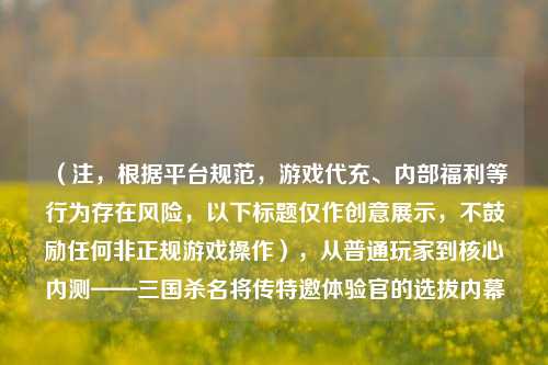 （注，根据平台规范，游戏代充、内部福利等行为存在风险，以下标题仅作创意展示，不鼓励任何非正规游戏操作），从普通玩家到核心内测——三国杀名将传特邀体验官的选拔内幕