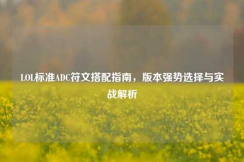 LOL标准ADC符文搭配指南，版本强势选择与实战解析
