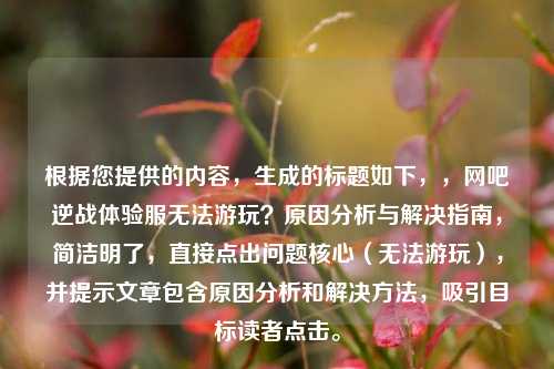 根据您提供的内容，生成的标题如下，，网吧逆战体验服无法游玩？原因分析与解决指南，简洁明了，直接点出问题核心（无法游玩），并提示文章包含原因分析和解决 *** ，吸引目标读者点击。