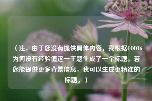 （注，由于您没有提供具体内容，我根据COD16为何没有经验值这一主题生成了一个标题。若您能提供更多背景信息，我可以生成更精准的标题。）