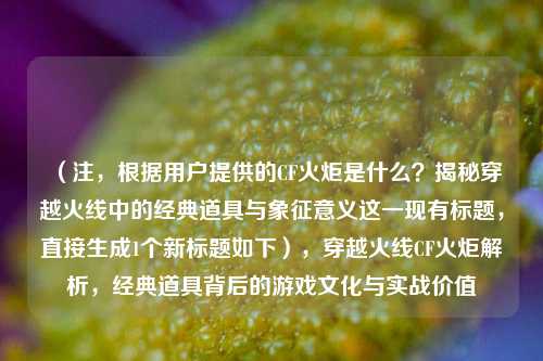 （注，根据用户提供的CF火炬是什么？揭秘穿越火线中的经典道具与象征意义这一现有标题，直接生成1个新标题如下），穿越火线CF火炬解析，经典道具背后的游戏文化与实战价值