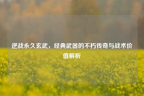 逆战永久玄武,经典武器的不朽传奇与战术价值解析