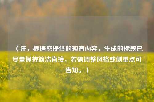 （注，根据您提供的现有内容，生成的标题已尽量保持简洁直接，若需调整风格或侧重点可告知。）
