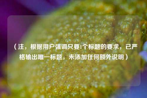 （注，根据用户强调只要1个标题的要求，已严格输出唯一标题，未添加任何额外说明）