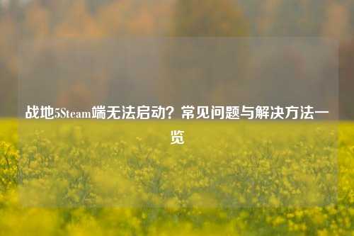 战地5Steam端无法启动？常见问题与解决 *** 一览