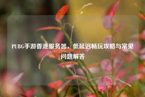 PUBG手游香港服务器，低延迟畅玩攻略与常见问题解答