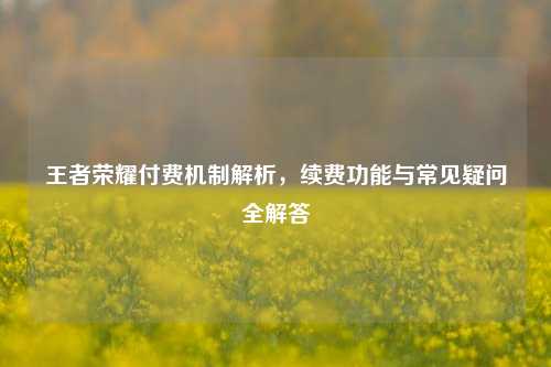 王者荣耀付费机制解析,续费功能与常见疑问全解答