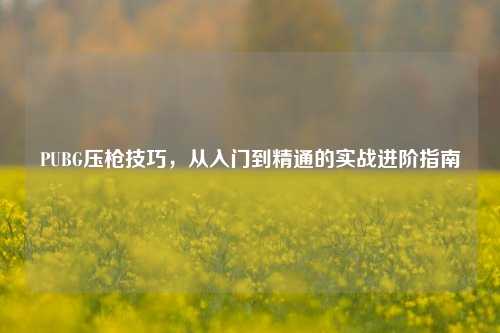 PUBG压枪技巧，从入门到精通的实战进阶指南