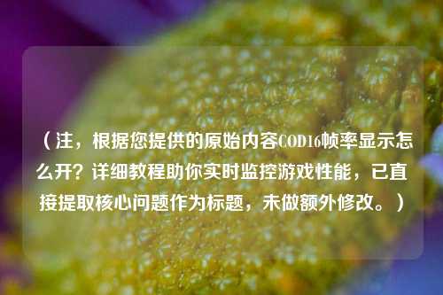 （注，根据您提供的原始内容COD16帧率显示怎么开？详细教程助你实时监控游戏性能，已直接提取核心问题作为标题，未做额外修改。）