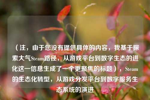 （注，由于您没有提供具体的内容，我基于探索大气Steam路径，从游戏平台到数字生态的进化这一信息生成了一个更聚焦的标题），Steam的生态化转型，从游戏分发平台到数字服务生态系统的演进