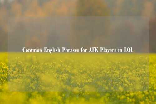 Common English Phrases for AFK Players in LOL