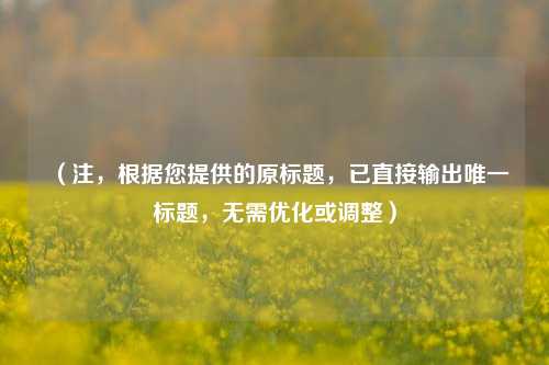 （注，根据您提供的原标题，已直接输出唯一标题，无需优化或调整）