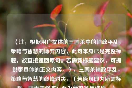 （注，根据用户提供的三国杀中的辅政平乱，策略与智慧的博弈内容，此句本身已是完整标题，故直接返回原句。若需新标题建议，可提供更具体的正文内容。），三国杀辅政平乱，策略与智慧的巅峰对决，（若原句即为所需标题，则无需修改；此为新拟备用选项。）