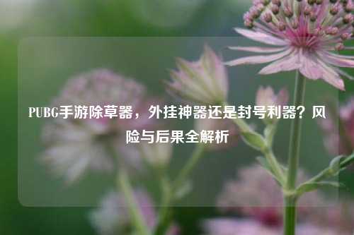 PUBG手游除草器，外挂神器还是封号利器？风险与后果全解析