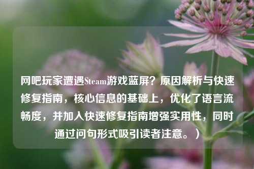 网吧玩家遭遇Steam游戏蓝屏？原因解析与快速修复指南，核心信息的基础上，优化了语言流畅度，并加入快速修复指南增强实用性，同时通过问句形式吸引读者注意。）