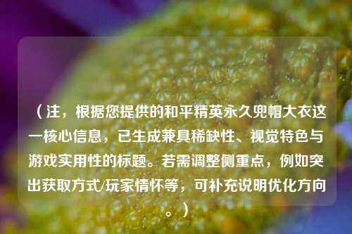（注，根据您提供的和平精英永久兜帽大衣这一核心信息，已生成兼具稀缺性、视觉特色与游戏实用性的标题。若需调整侧重点，例如突出获取方式/玩家情怀等，可补充说明优化方向。）