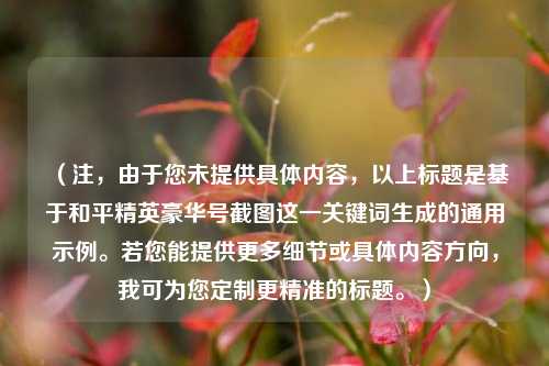 （注，由于您未提供具体内容，以上标题是基于和平精英豪华号截图这一关键词生成的通用示例。若您能提供更多细节或具体内容方向，我可为您定制更精准的标题。）