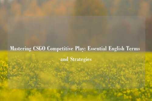 Mastering CSGO Competitive Play: Essential English Terms and Strategies