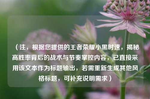 （注，根据您提供的王者荣耀小黑时速，揭秘高胜率背后的战术与节奏掌控内容，已直接采用该文本作为标题输出，若需重新生成其他风格标题，可补充说明需求）