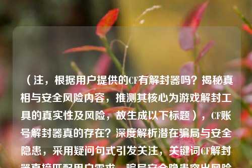 （注，根据用户提供的CF有解封器吗？揭秘真相与安全风险内容，推测其核心为游戏解封工具的真实性及风险，故生成以下标题），CF账号解封器真的存在？深度解析潜在骗局与安全隐患，采用疑问句式引发关注，关键词CF解封器直接匹配用户需求，骗局安全隐患突出风险警示，符合揭秘真相与安全风险的原文导向。）